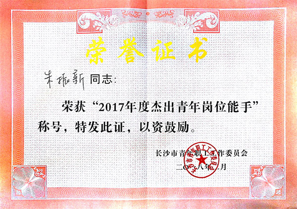 UED在线官网网页版(中国)唯一官方网站智能朱振新荣获长沙市2017年度杰出青年岗位能手