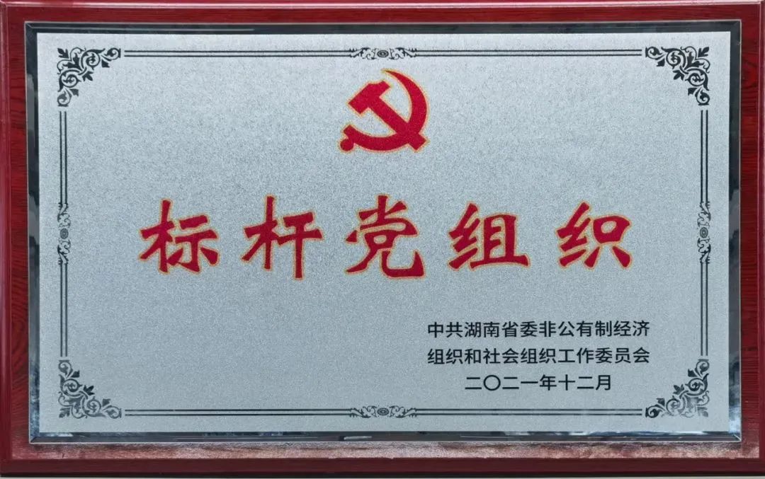 党建品牌亮起来！UED在线官网网页版(中国)唯一官方网站智能党委获评“标杆党组织”
