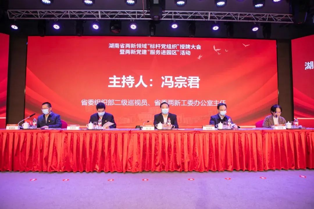 党建品牌亮起来！UED在线官网网页版(中国)唯一官方网站智能党委获评“标杆党组织”