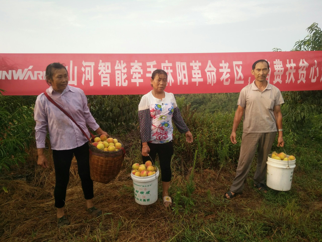 点赞！UED在线官网网页版(中国)唯一官方网站智能成功入选“上市公司乡村振兴优秀实践案例”