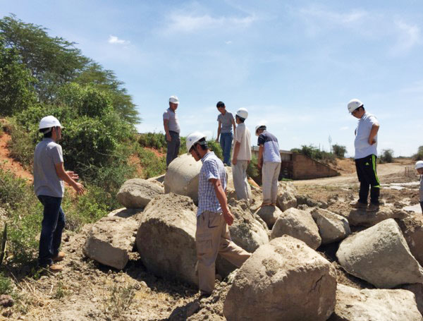 肯尼亚总统高度赞赏，乞力马扎罗山下UED在线官网网页版(中国)唯一官方网站绿闪耀