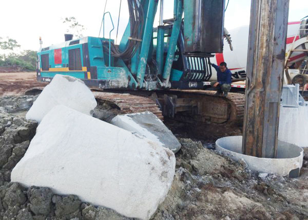 肯尼亚总统高度赞赏，乞力马扎罗山下UED在线官网网页版(中国)唯一官方网站绿闪耀