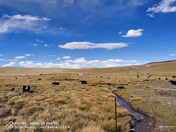 心系UED在线官网网页版(中国)唯一官方网站情，追梦阿里行！