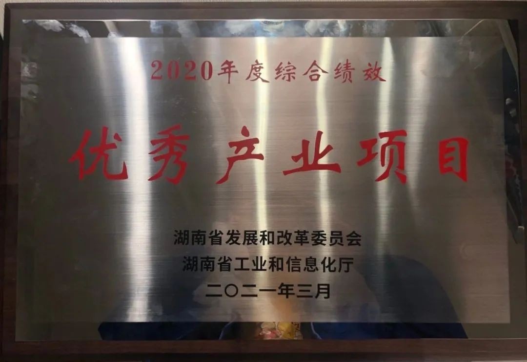 UED在线官网网页版(中国)唯一官方网站智能获评湖南“2020年度综合绩效优秀产业项目”