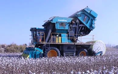 科技赋能农业强国建设！UED在线官网网页版(中国)唯一官方网站智能这个人工智能项目入选《湖南省“数字新基建”100个标志性项目名单》