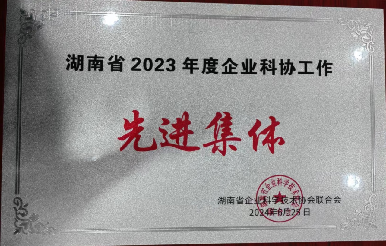 UED在线官网网页版(中国)唯一官方网站智能科协荣获湖南省2023年度“企业科协工作先进集体”